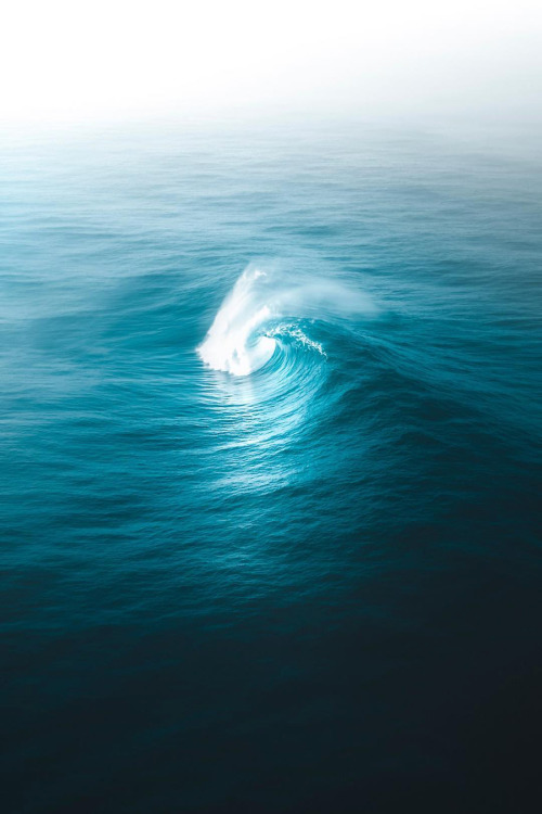 Source: http://shambholic.tumblr.com