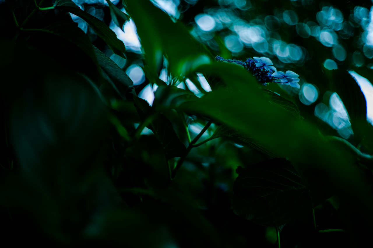 Source: http://j-k-i-ng.tumblr.com