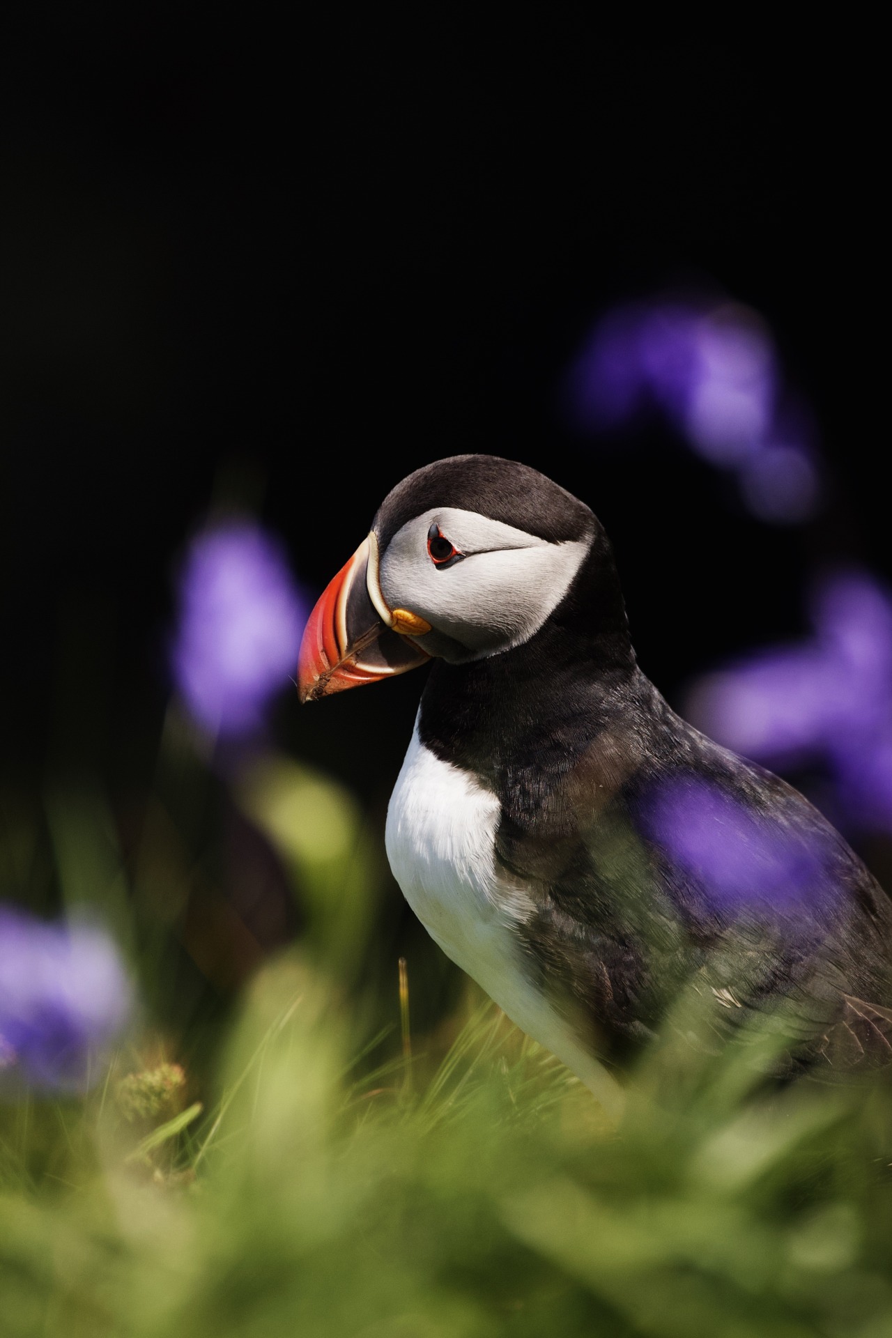 Source: http://kylebonallo.tumblr.com