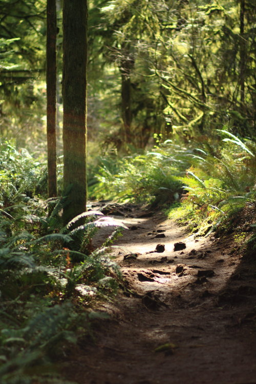 Source: http://satakentia.tumblr.com