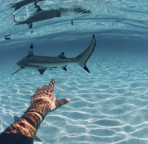 Source: http://pcific.tumblr.com