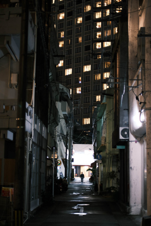 Source: http://tsukikages.tumblr.com