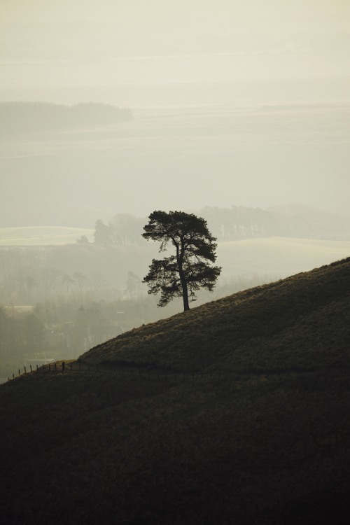 Source: http://kylebonallo.tumblr.com