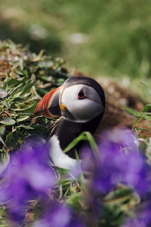 Source: http://kylebonallo.tumblr.com