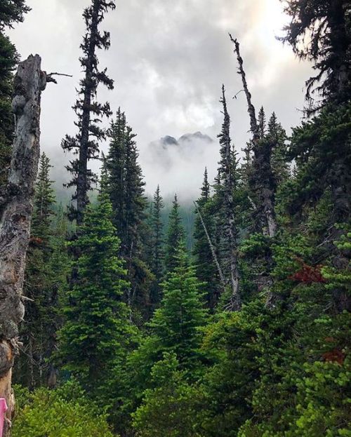 Source: http://silvaris.tumblr.com