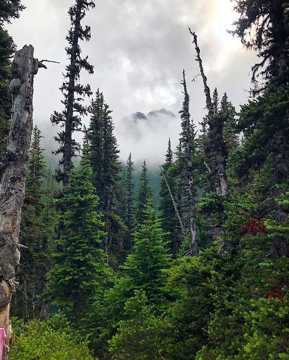 Source: http://silvaris.tumblr.com