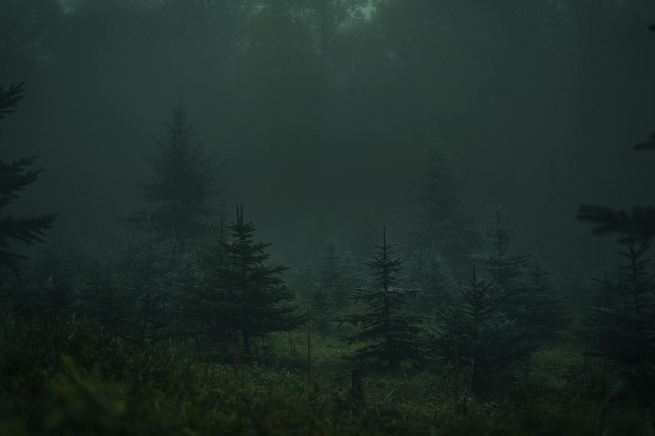 Source: http://expressions-of-nature.tumblr.com