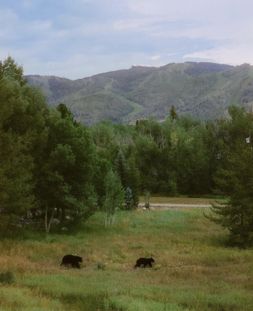 Source: http://whanderlost.tumblr.com