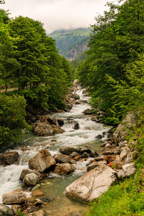 Source: http://nature-hiking.tumblr.com