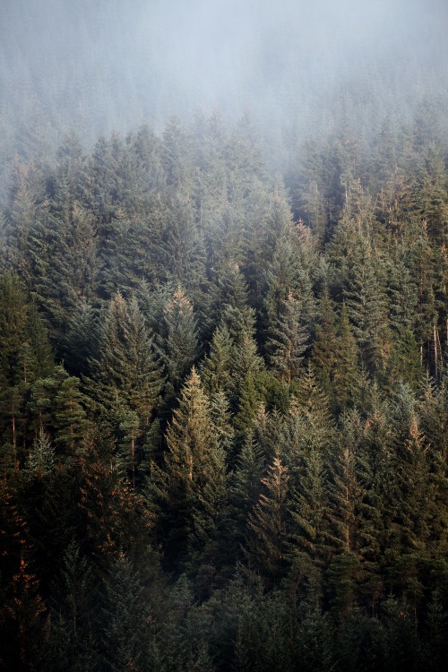 Source: http://kylebonallo.tumblr.com