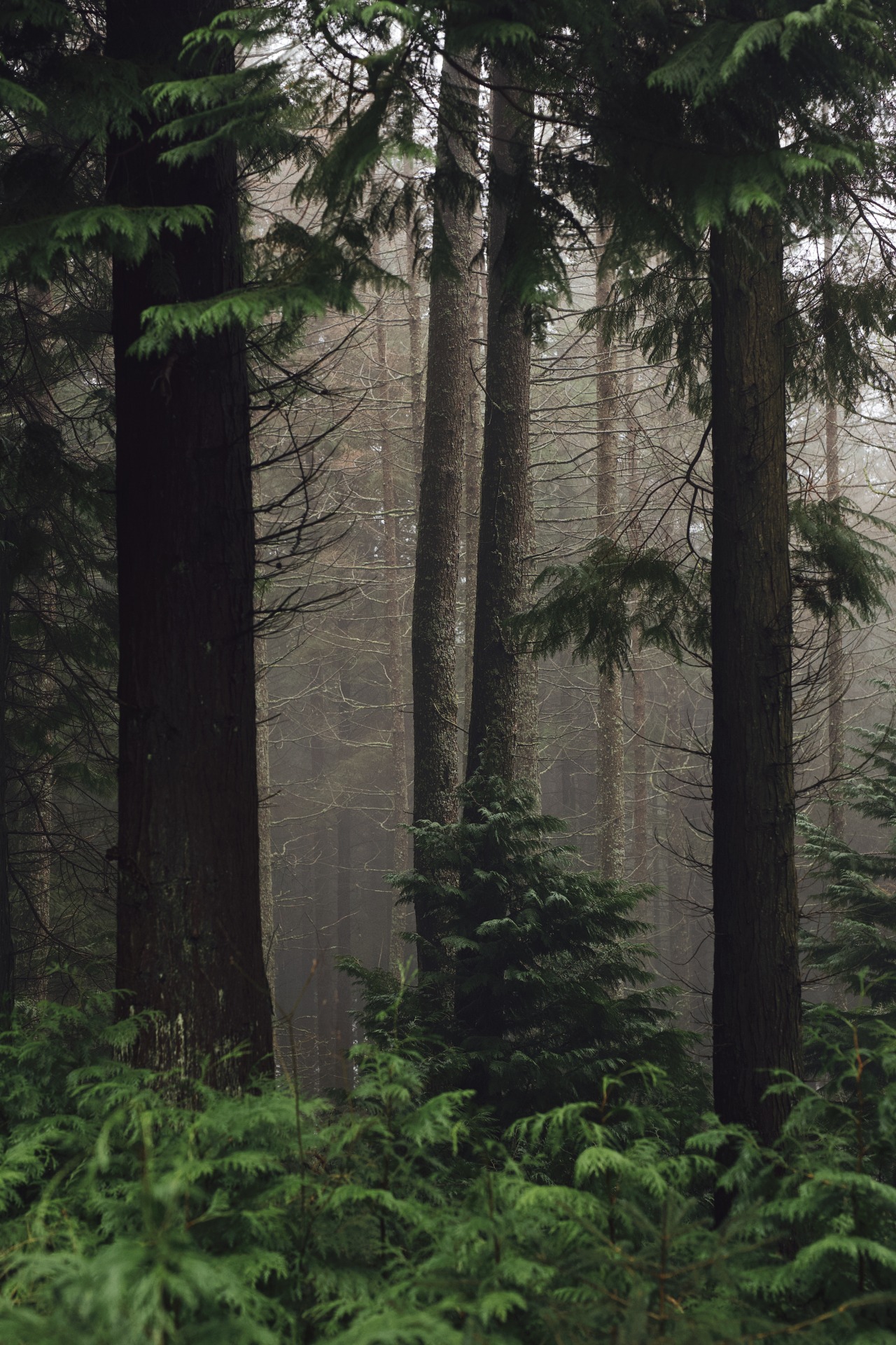 Source: http://faeriegardens.tumblr.com