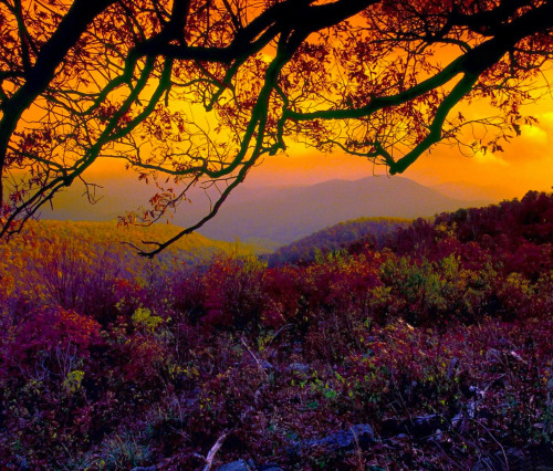 Source: http://coiour-my-world.tumblr.com