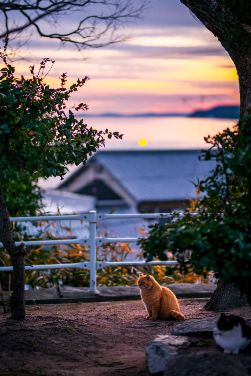 Source: http://satakentia.tumblr.com