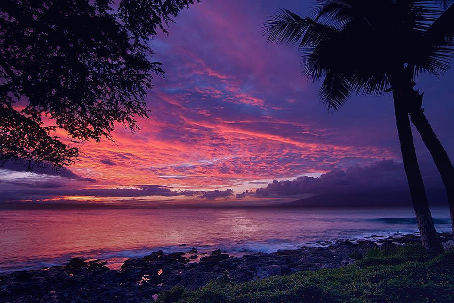 Source: http://shambholic.tumblr.com