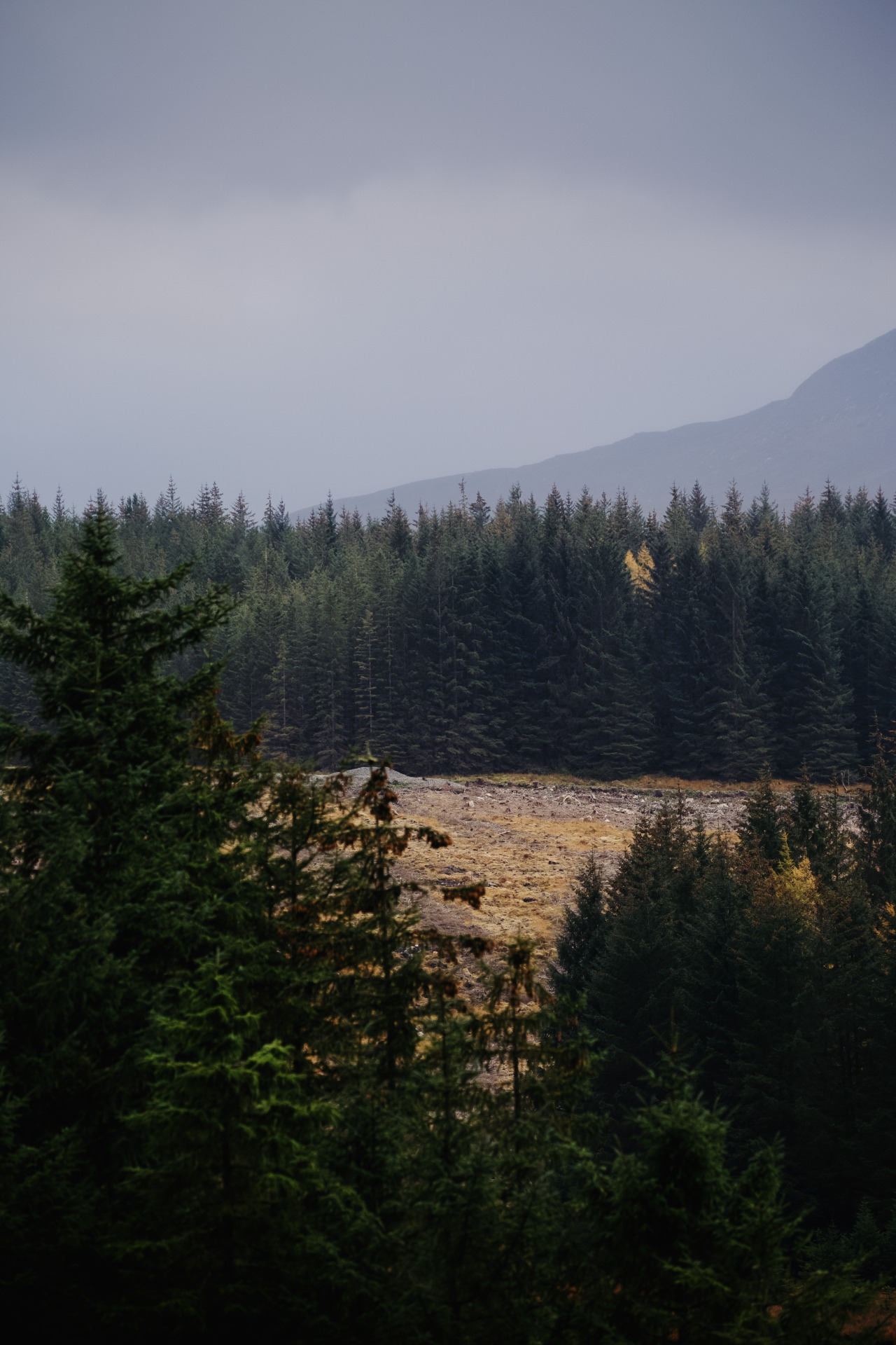 Source: http://kylebonallo.tumblr.com