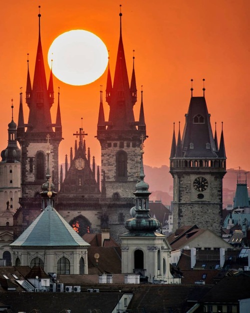 Source: http://alisaineurope.tumblr.com