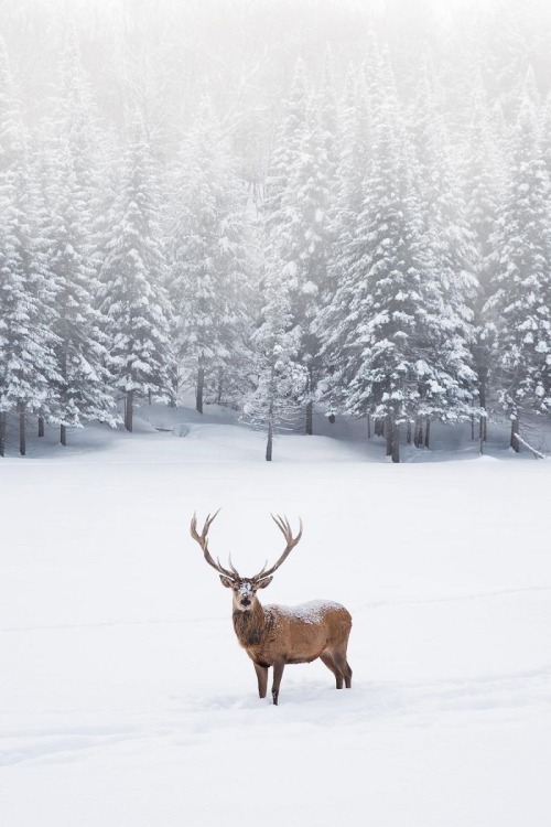 Source: http://alecsgrg.tumblr.com