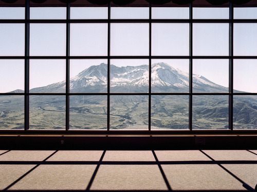 Source: http://junglerain.tumblr.com