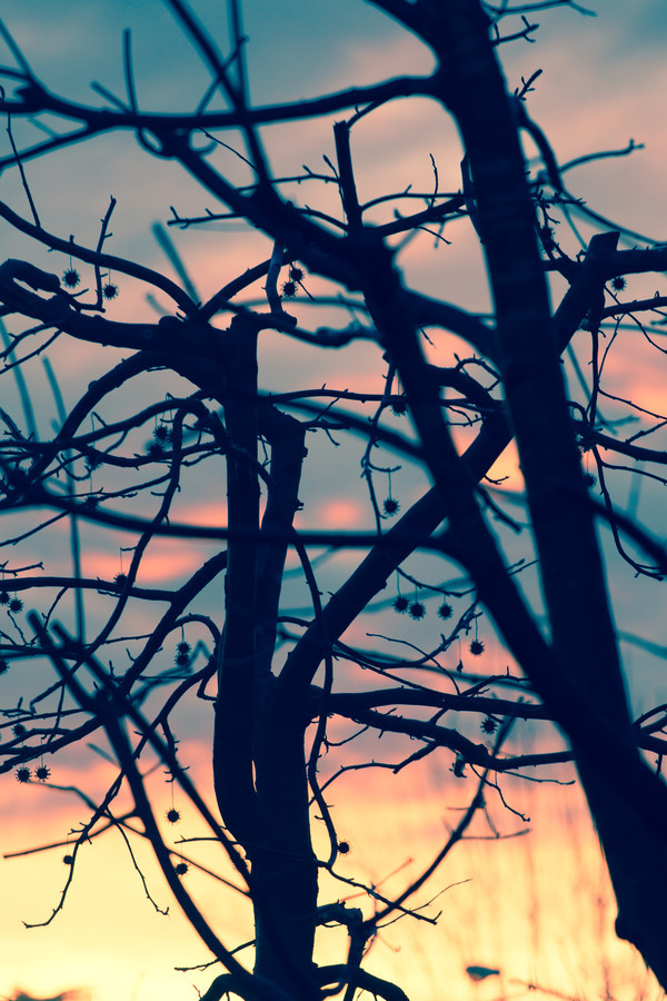 Source: http://j-k-i-ng.tumblr.com