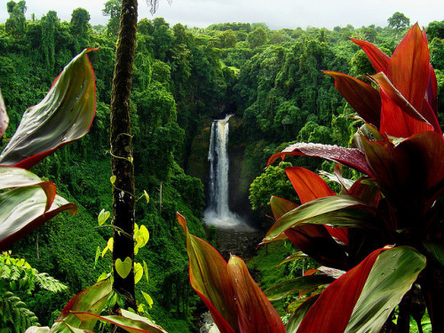 Source: http://solar-bar.tumblr.com