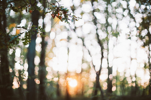 Source: http://deletingmyself.tumblr.com