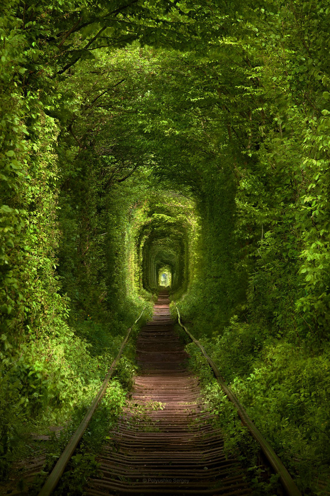 Source: http://expressions-of-nature.tumblr.com