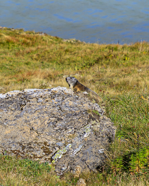 Source: http://nature-hiking.tumblr.com