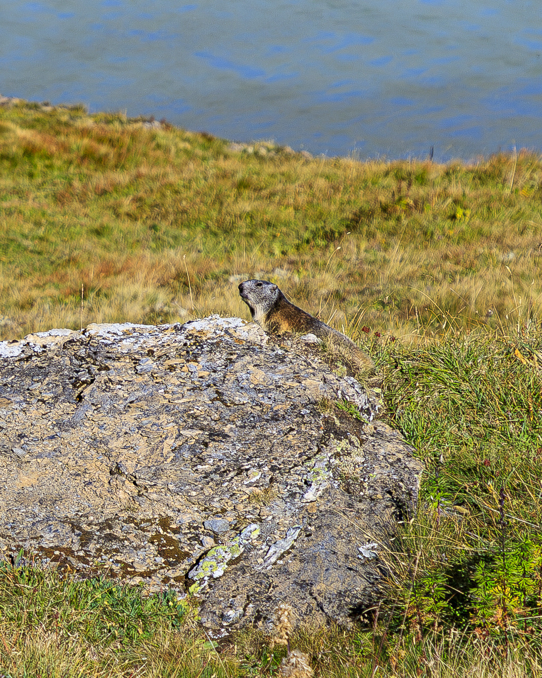 Source: http://nature-hiking.tumblr.com