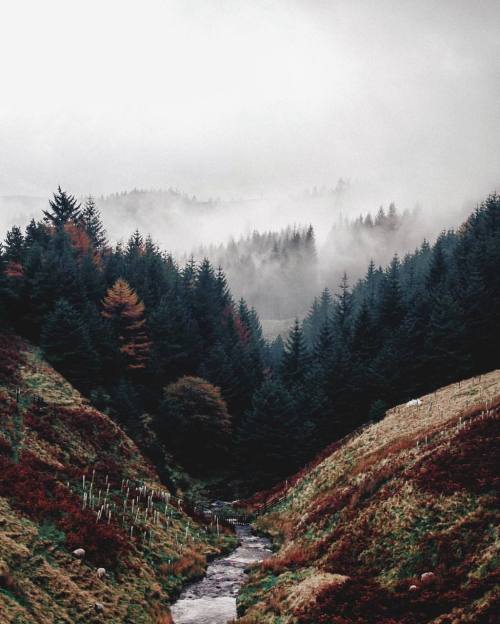 Source: http://whanderlost.tumblr.com