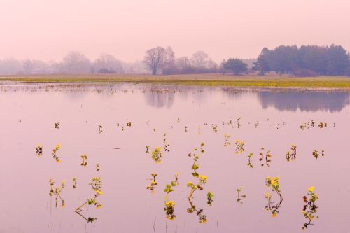 Source: http://expressions-of-nature.tumblr.com