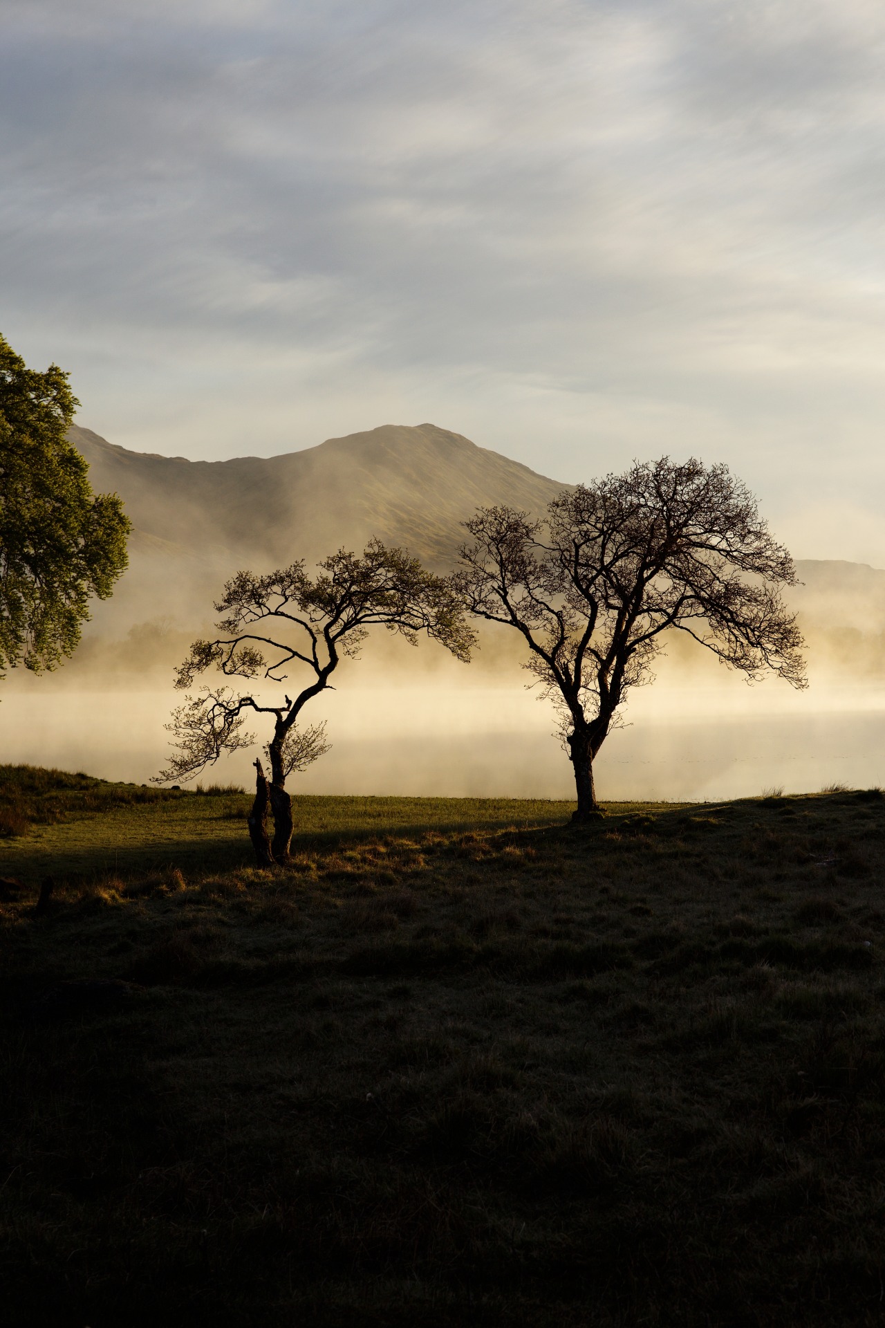 Source: http://kylebonallo.tumblr.com