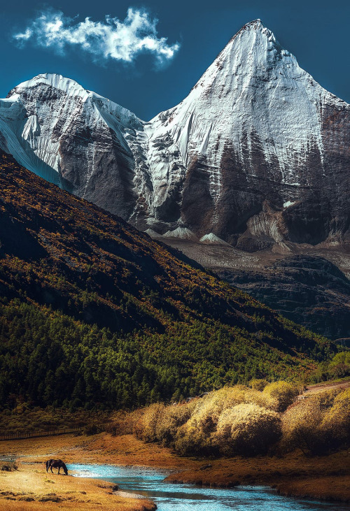 Source: http://coiour-my-world.tumblr.com