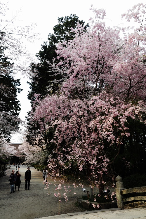 Source: http://deletingmyself.tumblr.com