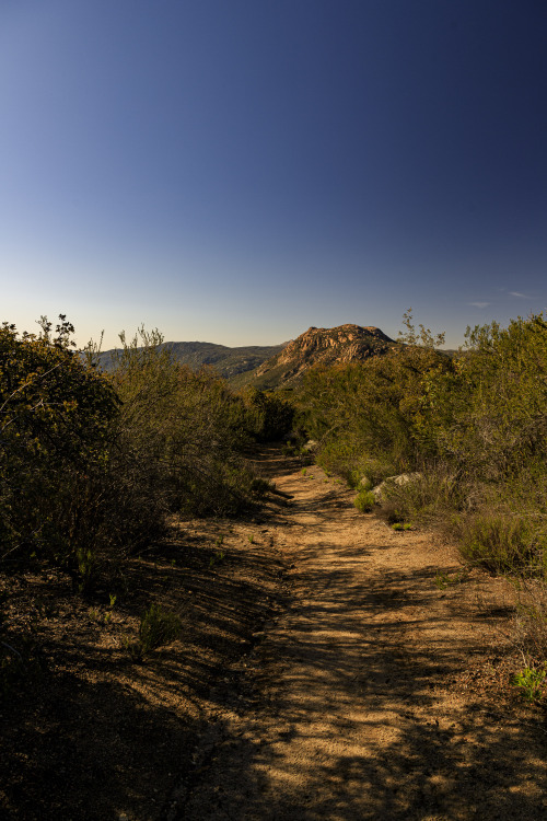 Source: http://nature-hiking.tumblr.com