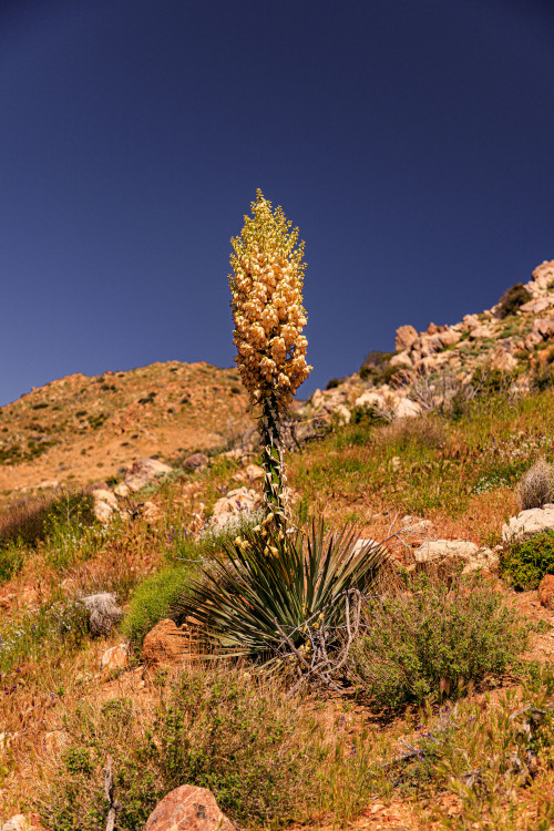 Source: http://nature-hiking.tumblr.com