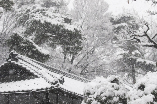 Source: http://bsziko.tumblr.com