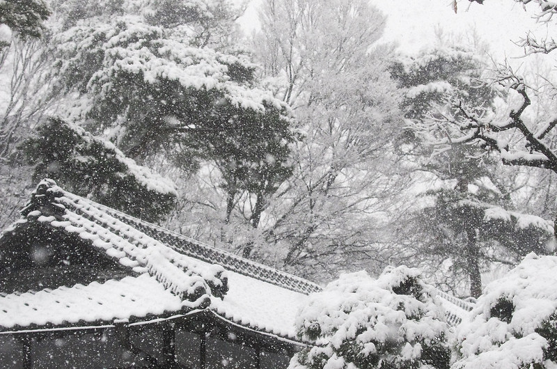 Source: http://bsziko.tumblr.com