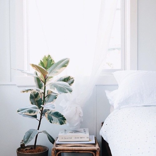 Source: http://fit-lifting-girl.tumblr.com