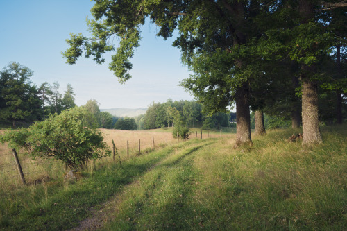 Source: http://losttindxmoon.tumblr.com