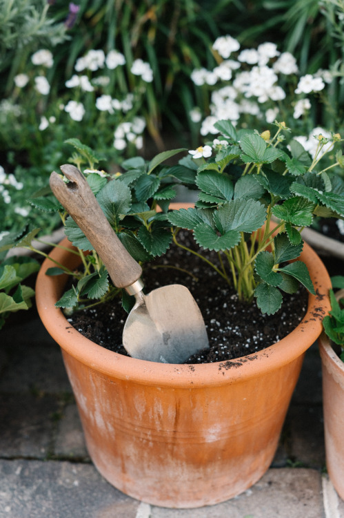 Source: http://breathings.tumblr.com