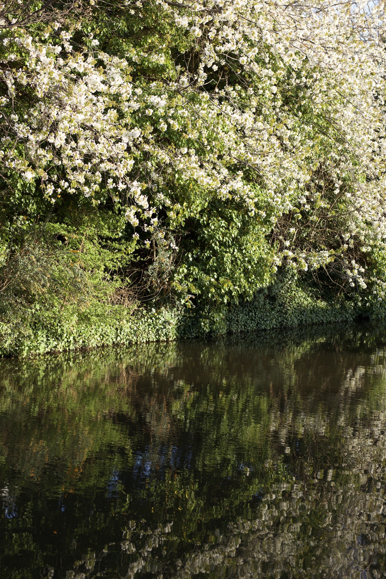 Source: http://kylebonallo.tumblr.com