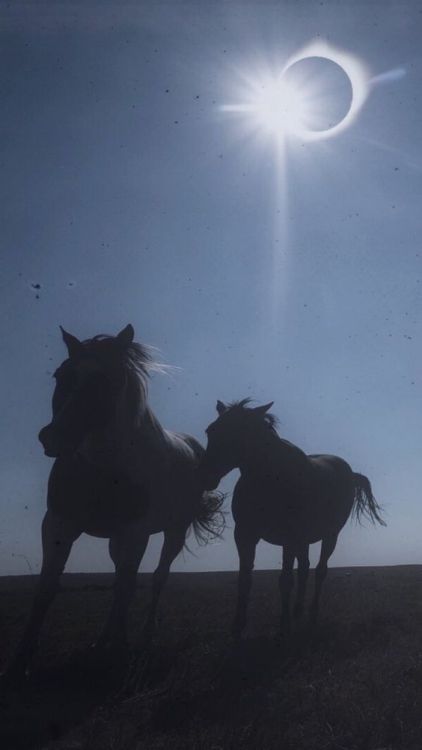 Source: http://solar-bar.tumblr.com