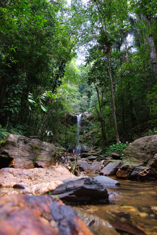 Source: http://tropic-havens.tumblr.com