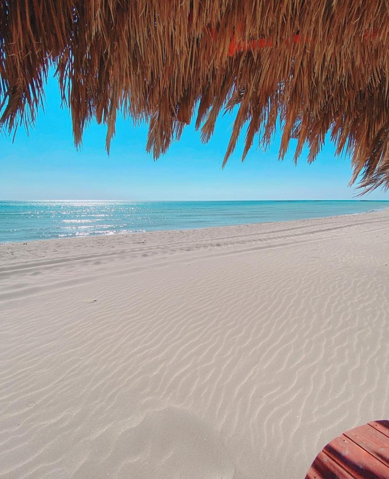 Source: http://icharous.tumblr.com