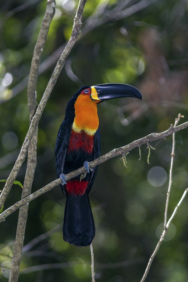 Source: http://tropic-havens.tumblr.com