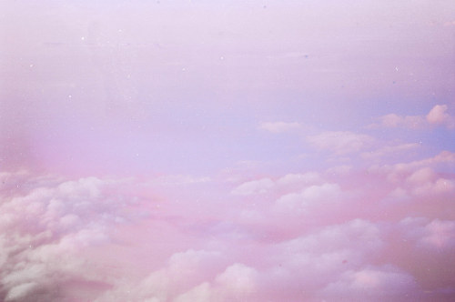 Source: http://expressions-of-nature.tumblr.com