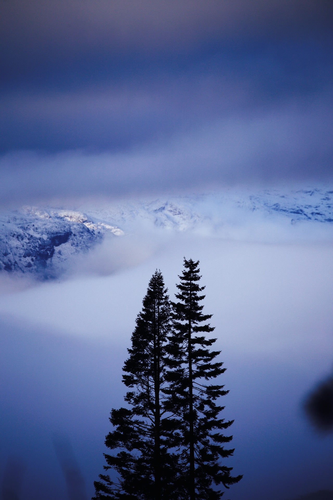 Source: http://kylebonallo.tumblr.com