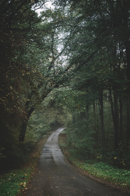 Source: http://junglerain.tumblr.com