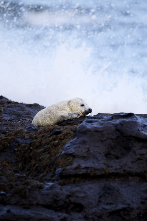 Source: http://kylebonallo.tumblr.com