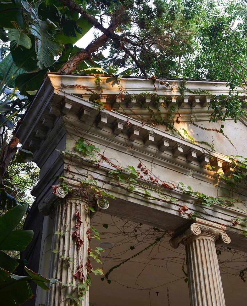 Source: http://solar-bar.tumblr.com